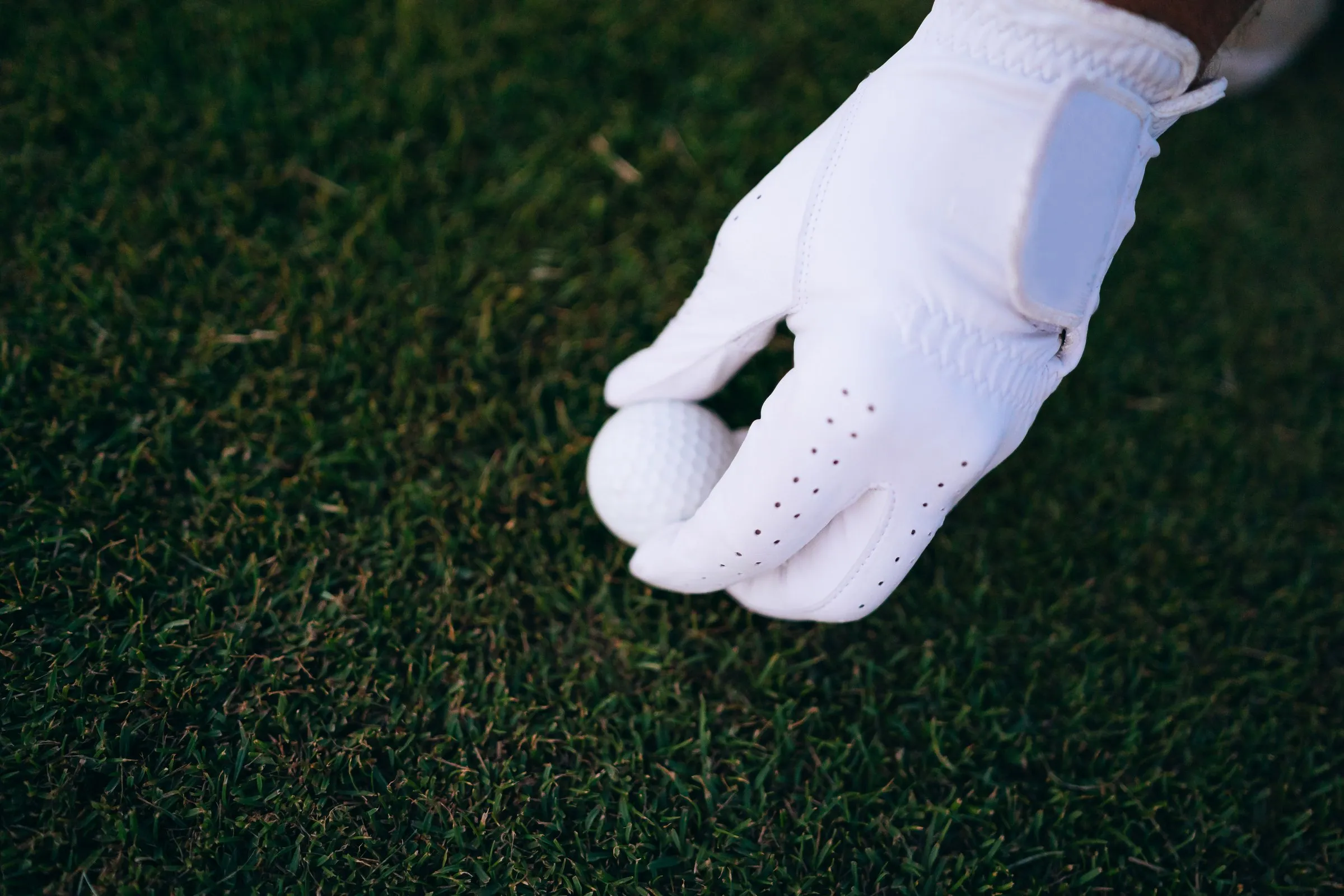 Golfer in a leather golf glove placing a ball